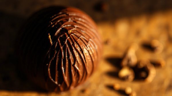 Les bienfaits des champignons adaptogènes dans le cacao