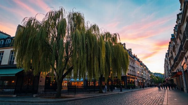 Top endroits incontournables pour un afterwork à Paris